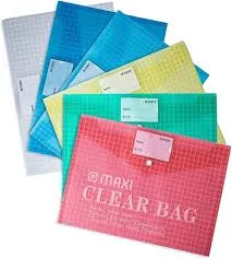 Documents Bags, A4,12 PC/Pack
